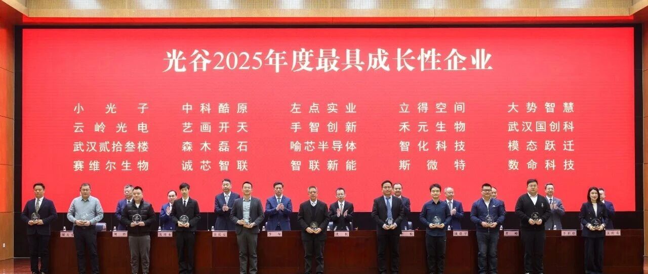 喜报 | 大势智慧获评“光谷2025年度最具成长性企业”