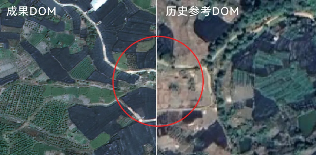 重建大师6.2与卫星版全新上线 | 国产化适配、TDOM优化、智能刺点、卫星影像重建... - 文章配图 2