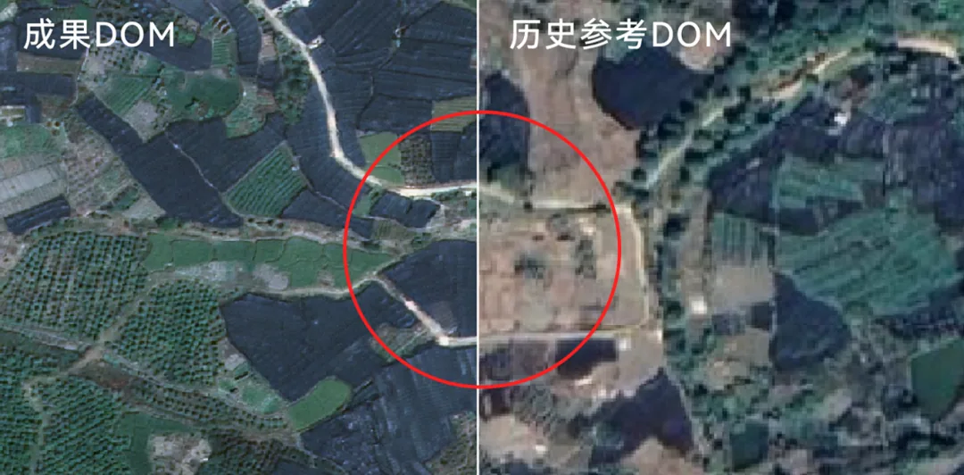 重建大师6.2与卫星版全新上线 | 国产化适配、TDOM优化、智能刺点、卫星影像重建... - 文章配图 3